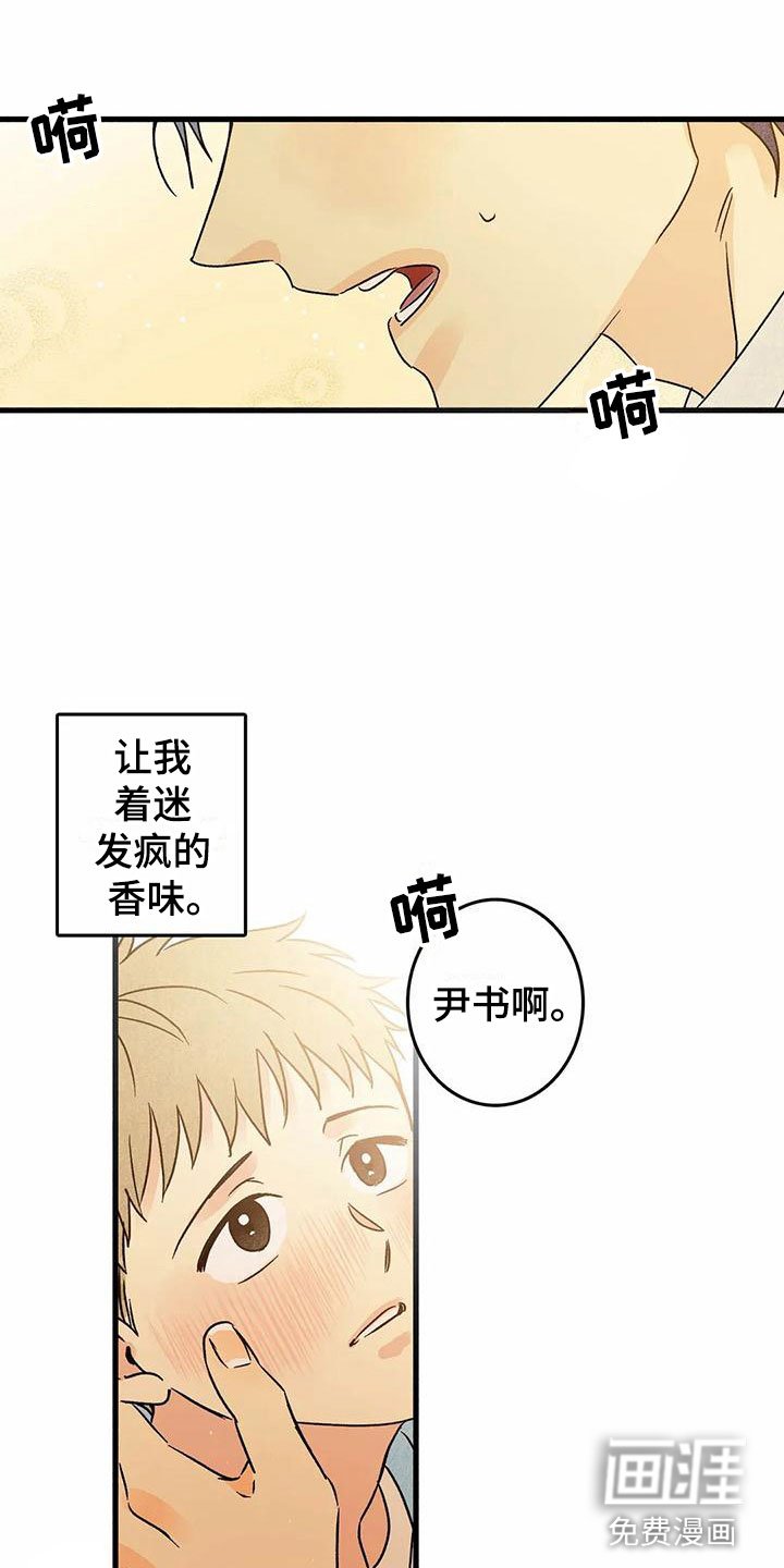 第6章：橙子香味