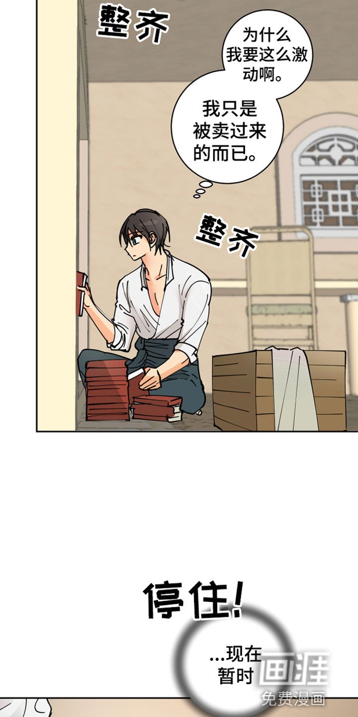 第13章：决心
