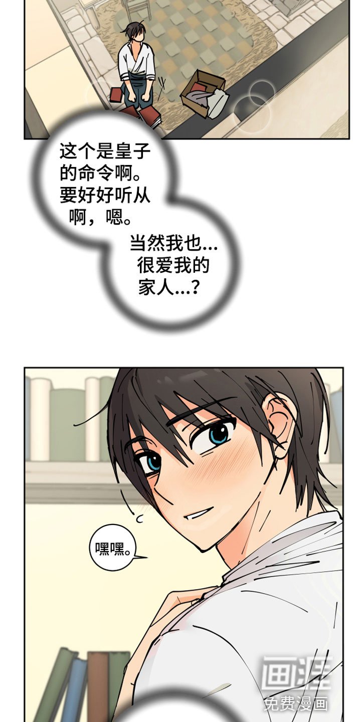 第13章：决心