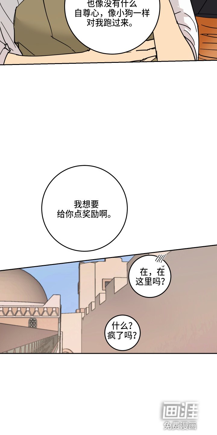 第25章：奖励