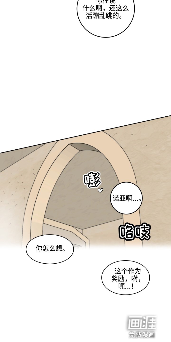 第25章：奖励