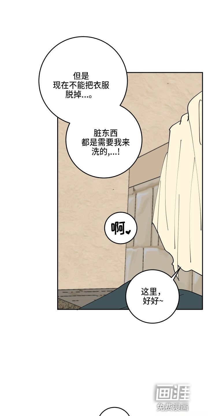 第25章：奖励