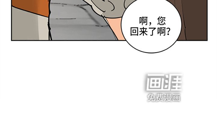 第31章：各玩各的