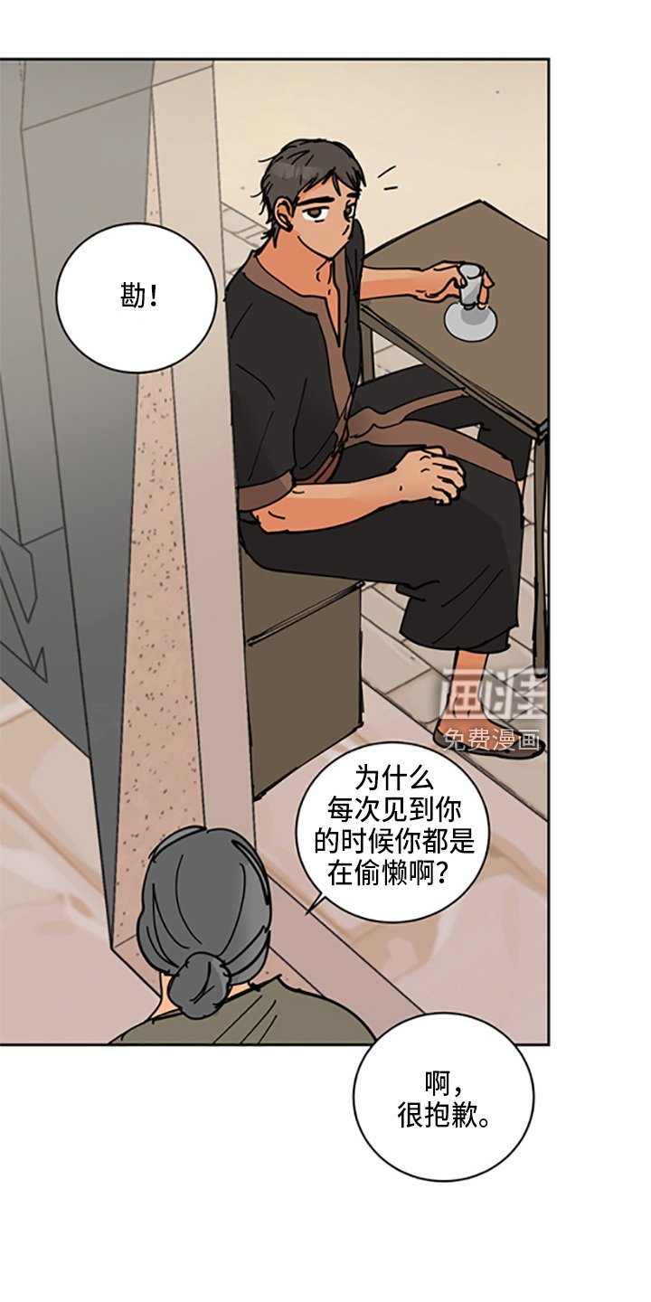 第31章：各玩各的