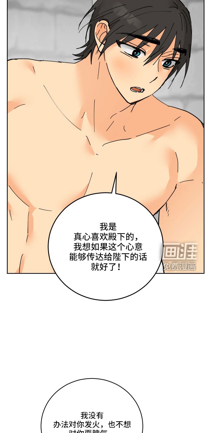 第42章：鸭子宝宝