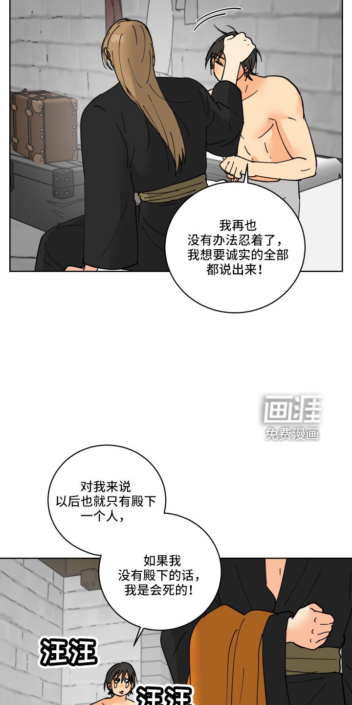 第42章：鸭子宝宝