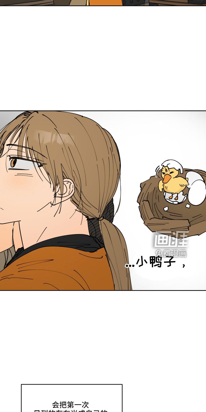 第42章：鸭子宝宝