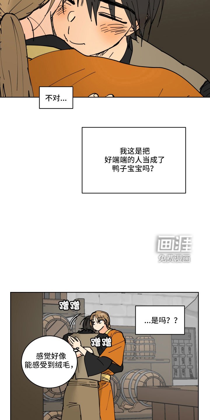 第42章：鸭子宝宝