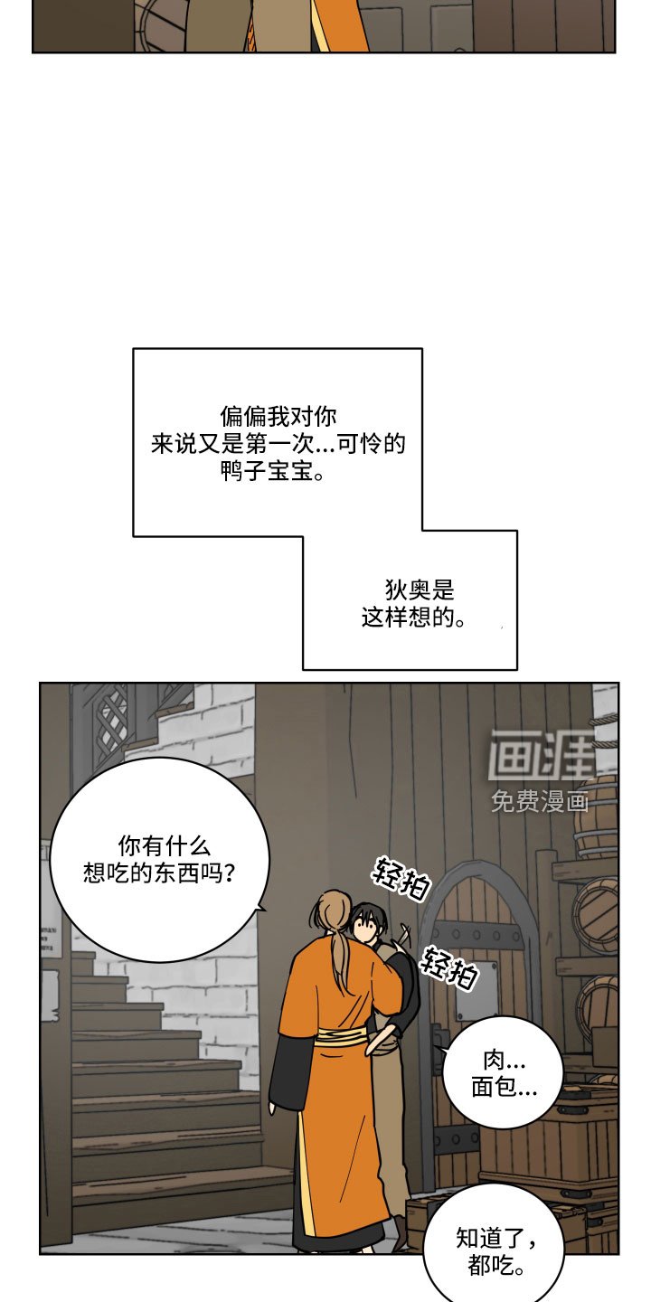 第42章：鸭子宝宝