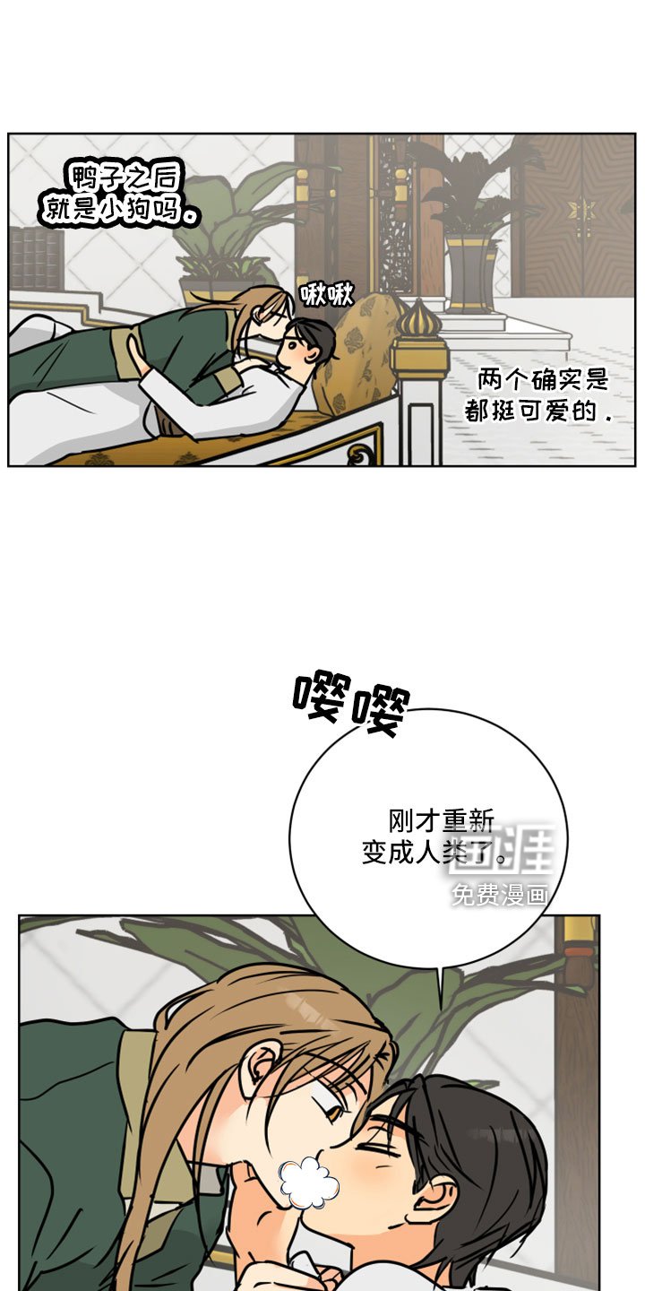 第61章：【第二季】很重要的关系