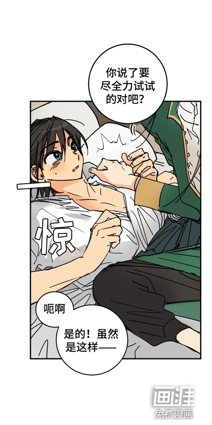 第7章：主动出击
