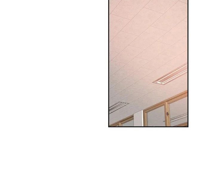 第3章：关注