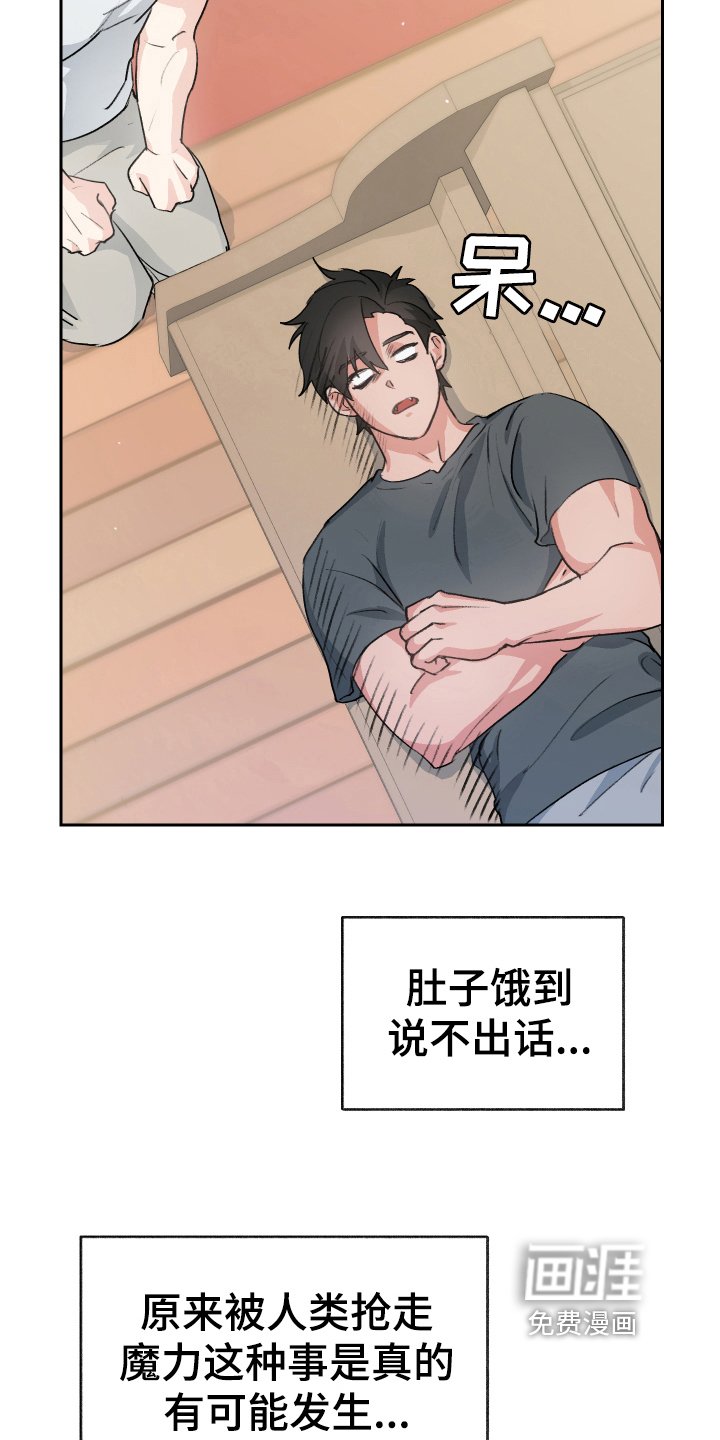 第8章：负责【完结】