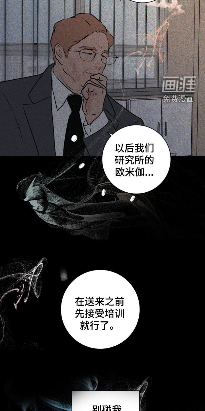 第101章：【第二季】杀人于无形