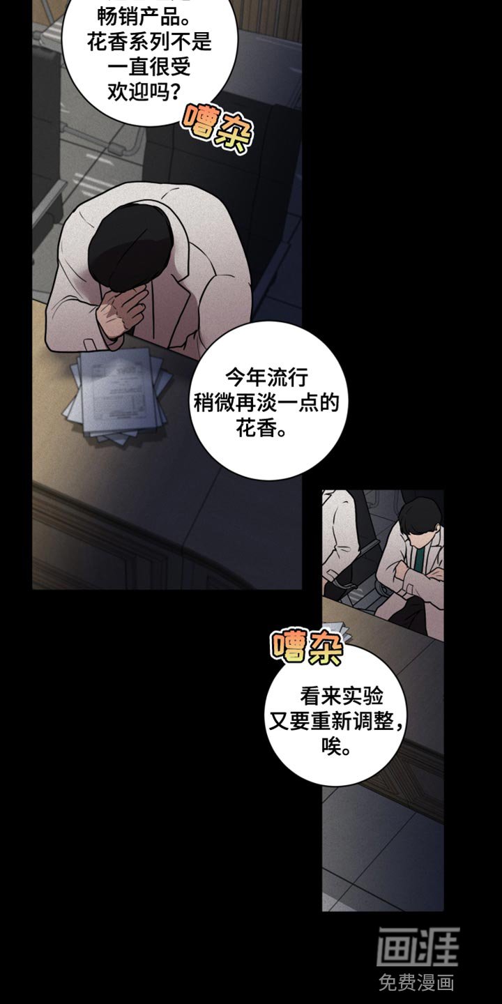 第11章：尽管相信我