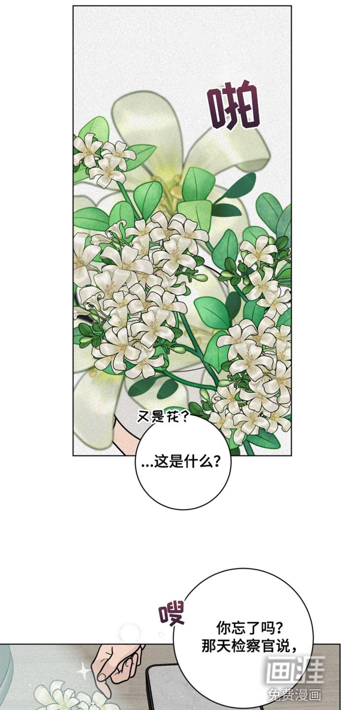 第11章：尽管相信我