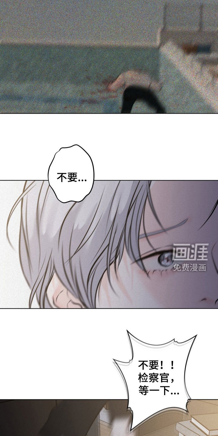第117章：【第二季完结】求你别死