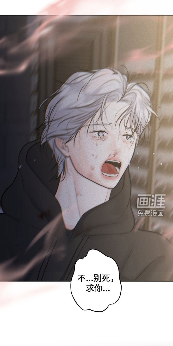 第117章：【第二季完结】求你别死