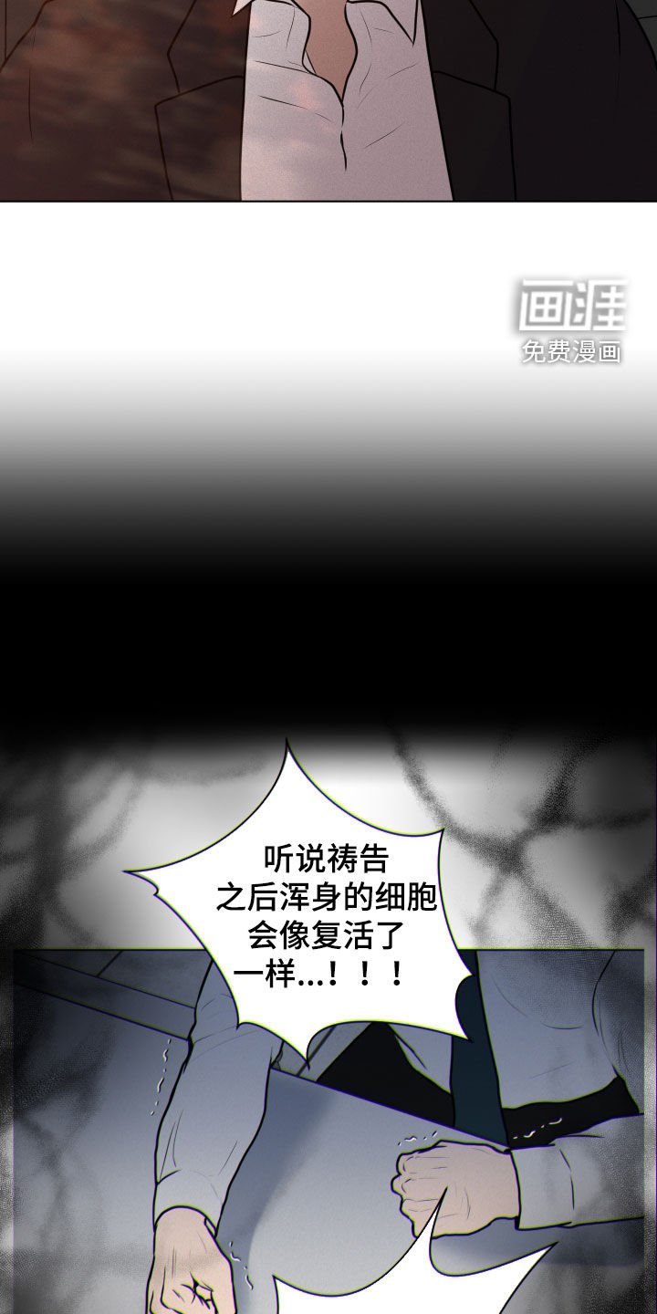 第17章：检查