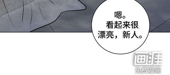 第17章：检查