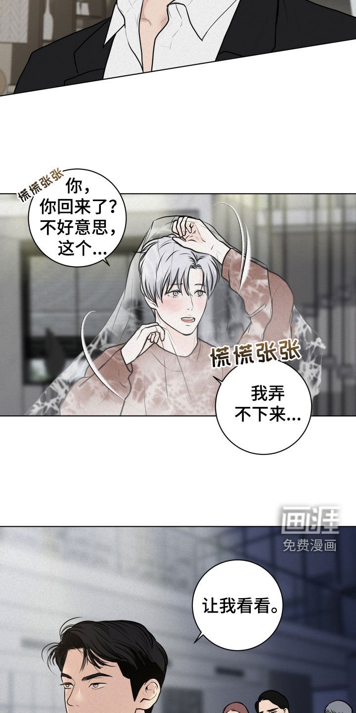 第17章：检查