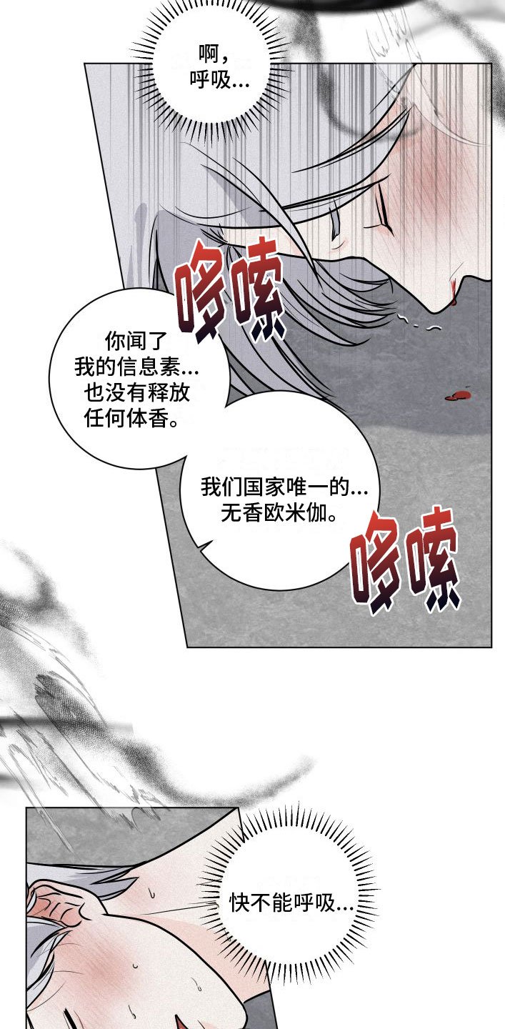 第3章：有意思