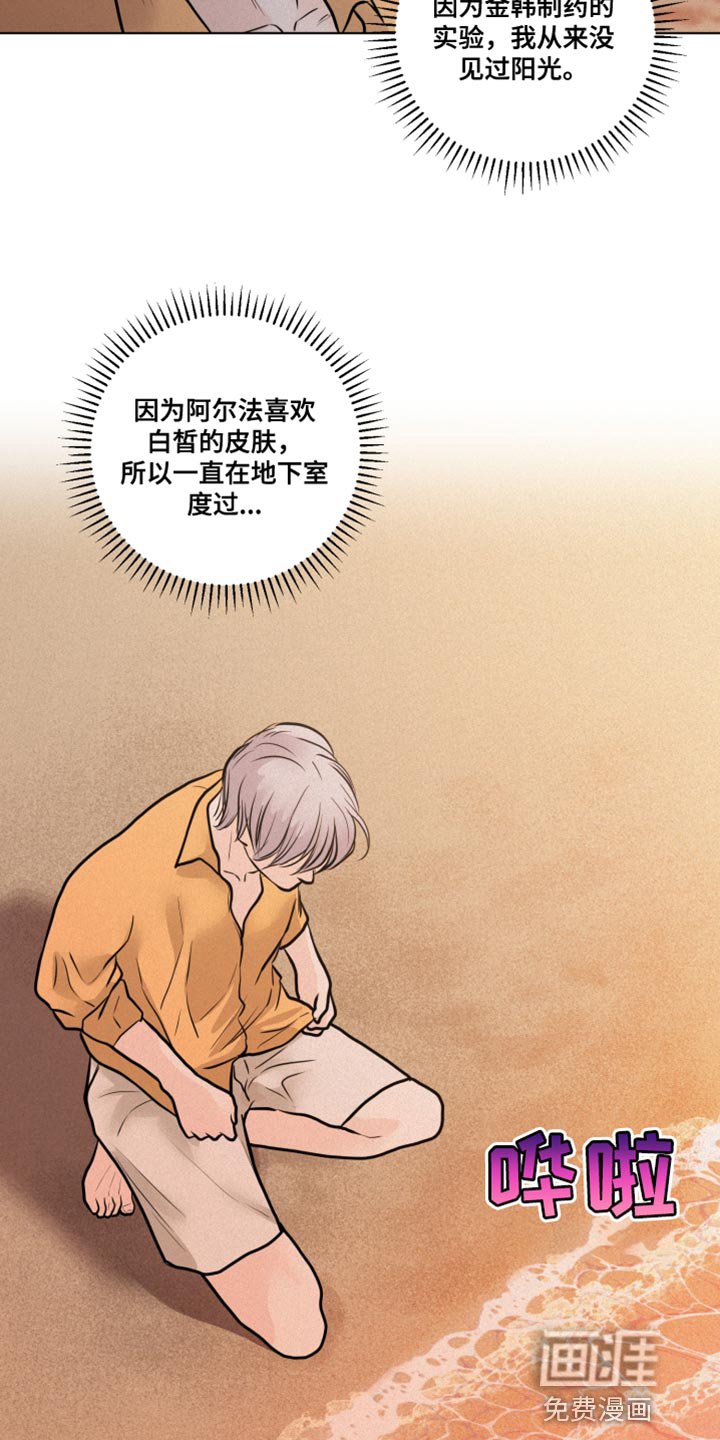 第34章：特别的夜晚
