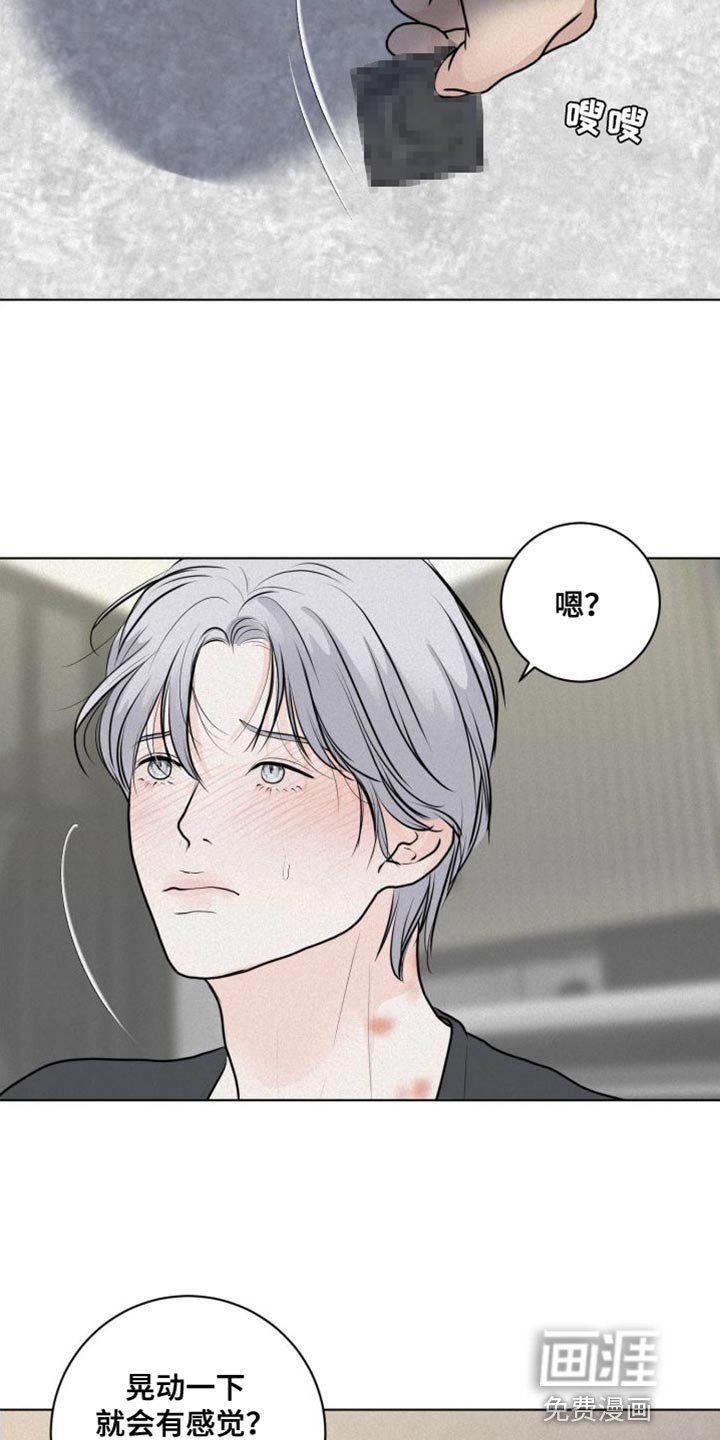 第43章：必须遵守的秩序