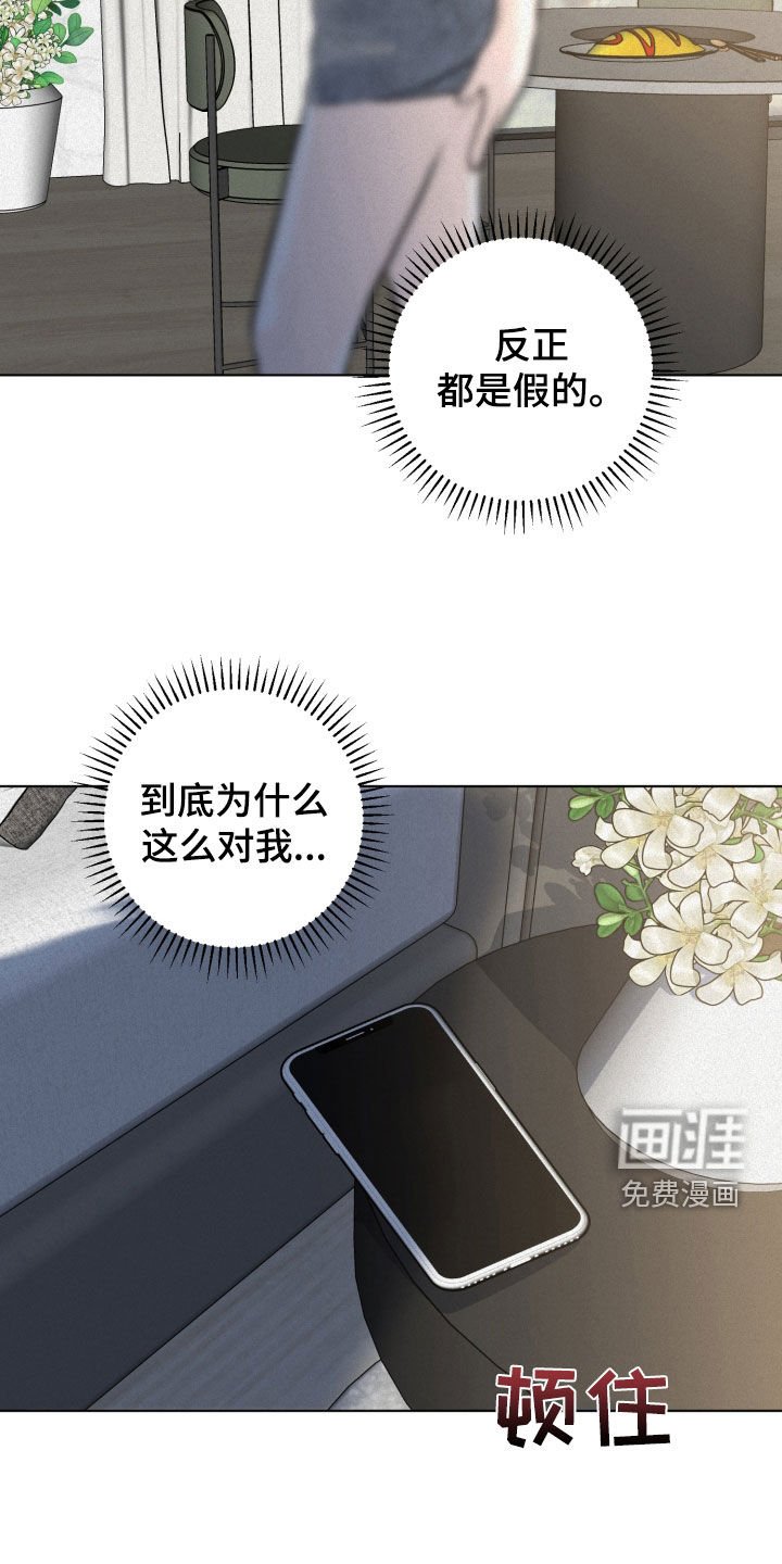 第47章：都是假的