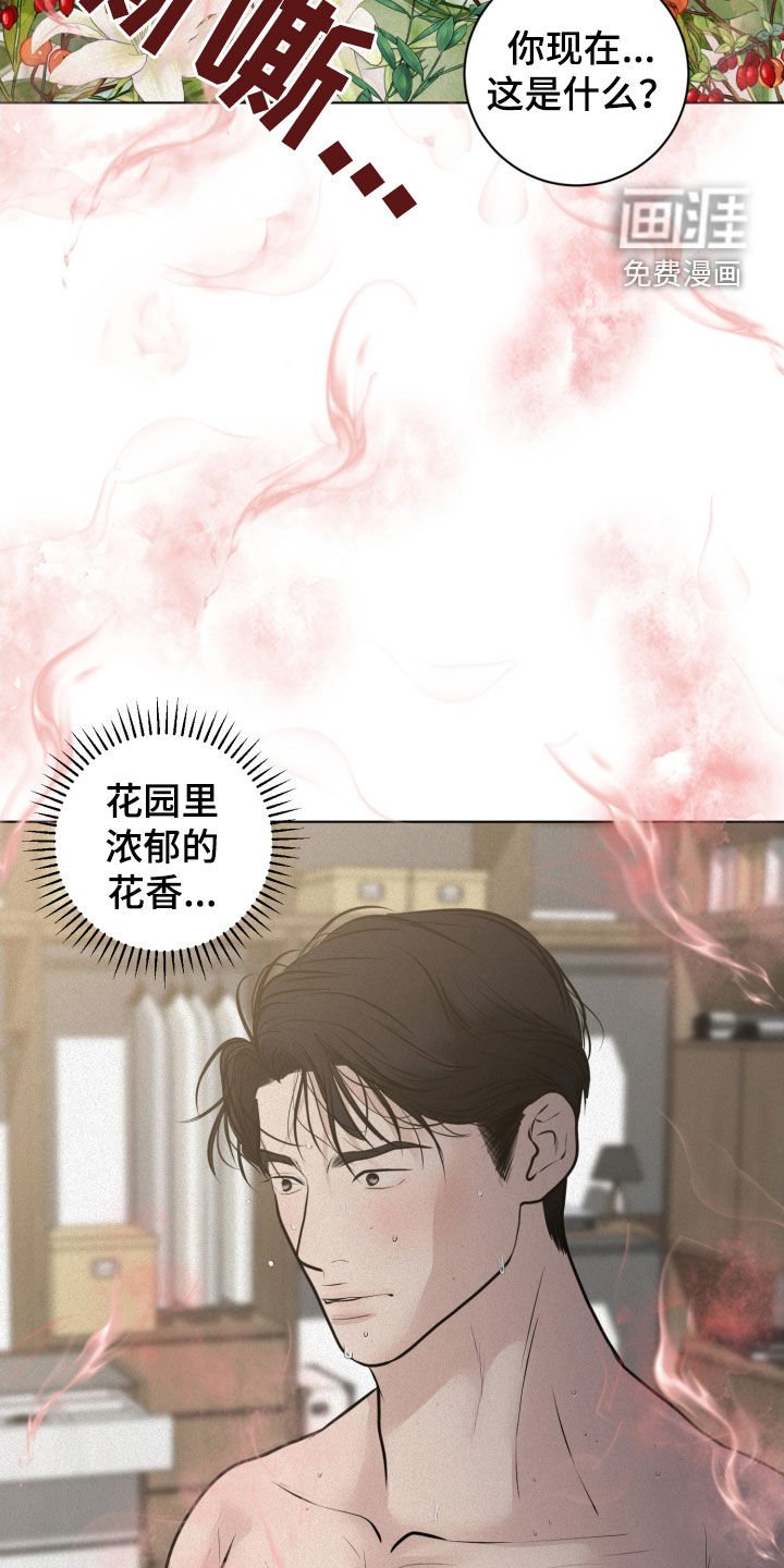 第56章：痛苦的权利（第一季完结）