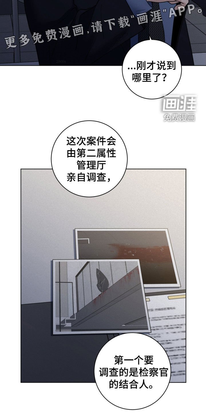 第63章：【第二季】调查