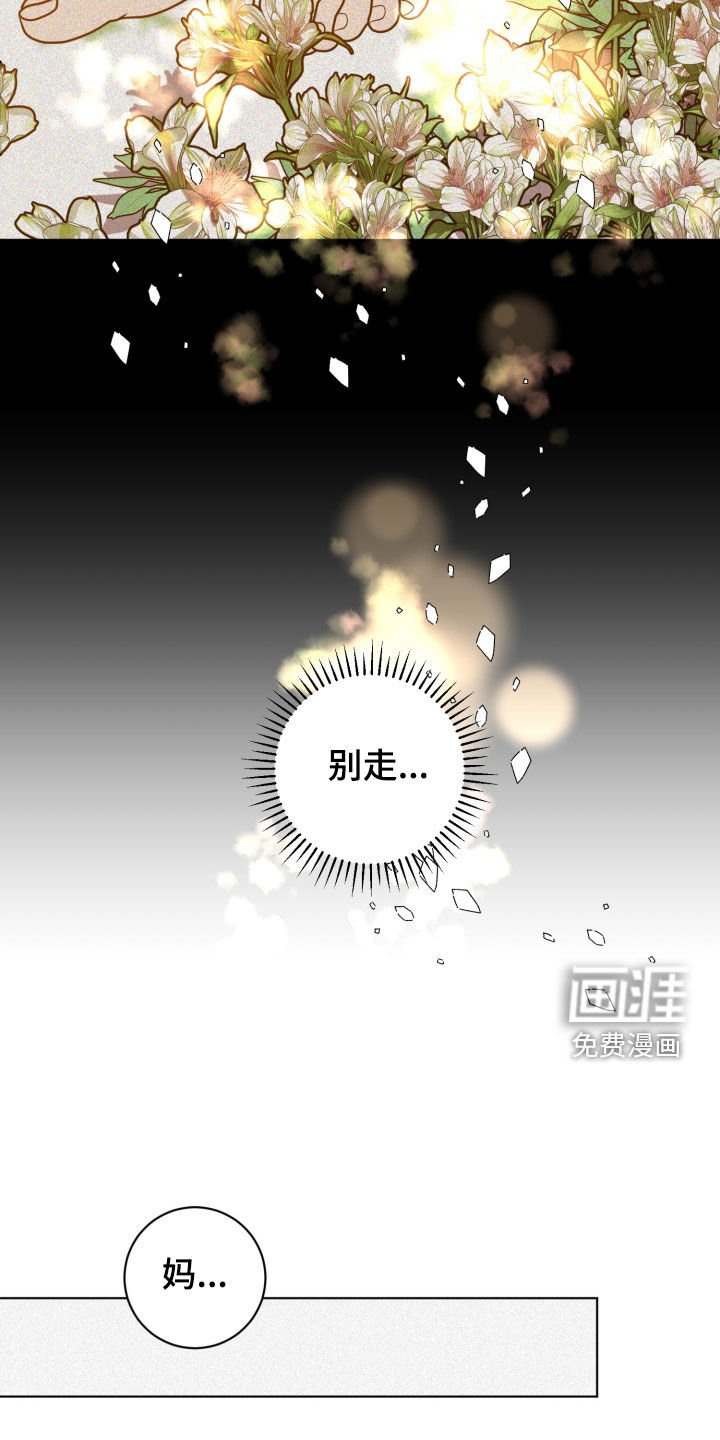 第67章：【第二季】就这样走了