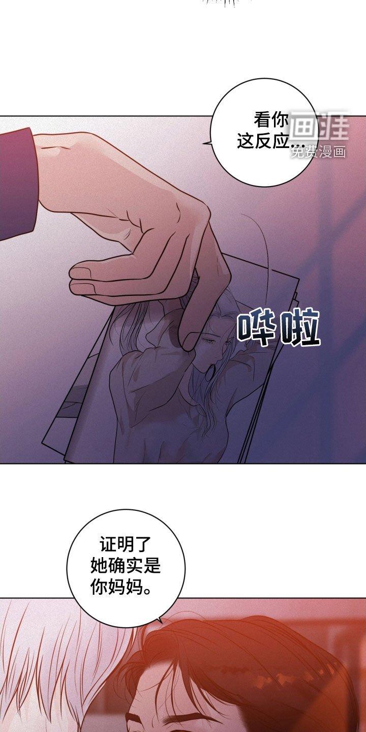 第73章：【第二季】照片