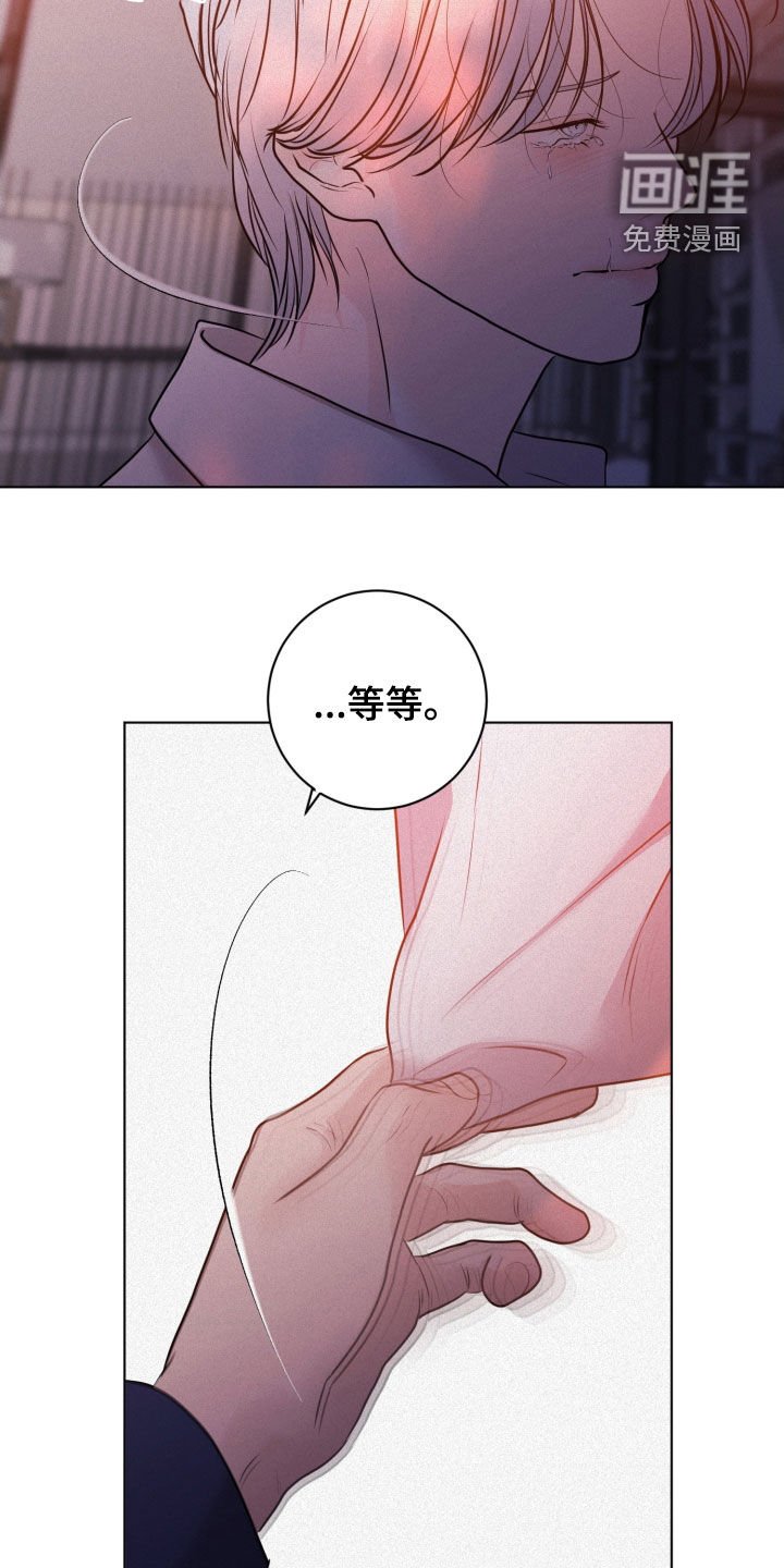 第73章：【第二季】照片