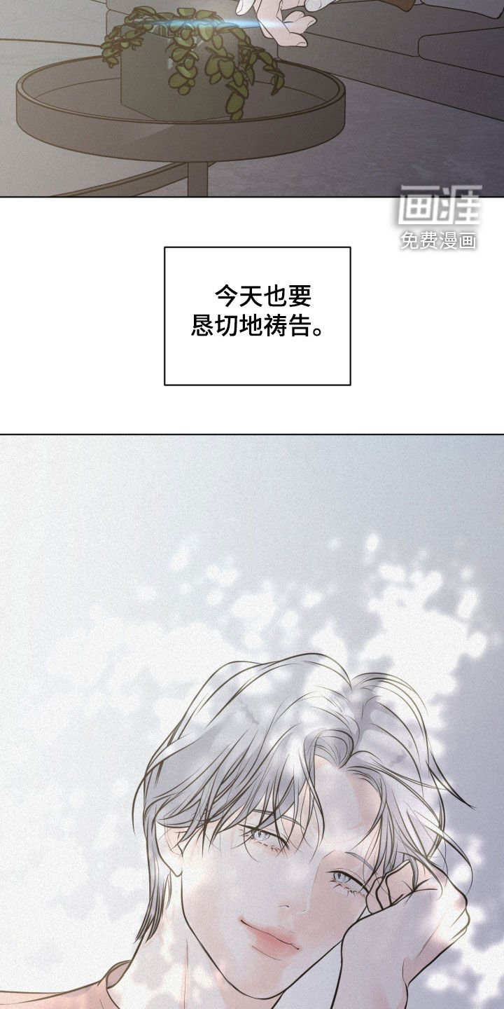 第82章：【第二季】新的缘分