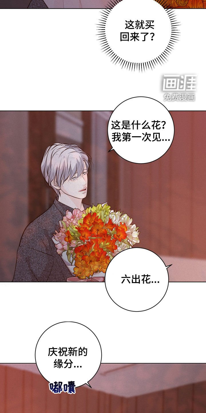 第82章：【第二季】新的缘分