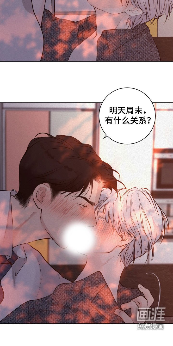 第82章：【第二季】新的缘分