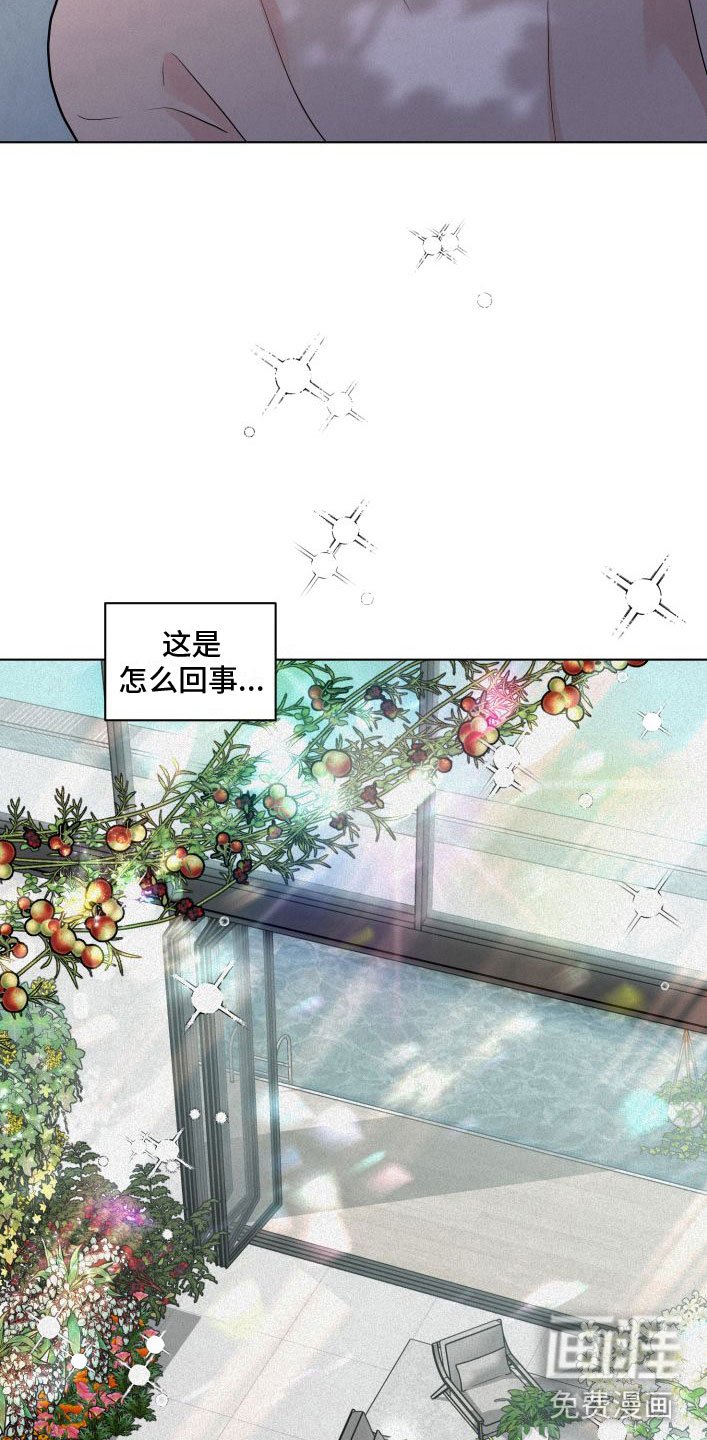 第9章：花满园