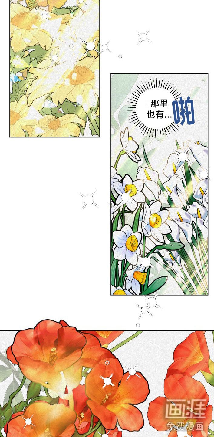 第9章：花满园