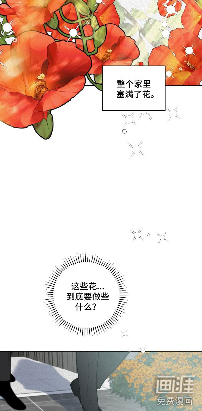 第9章：花满园