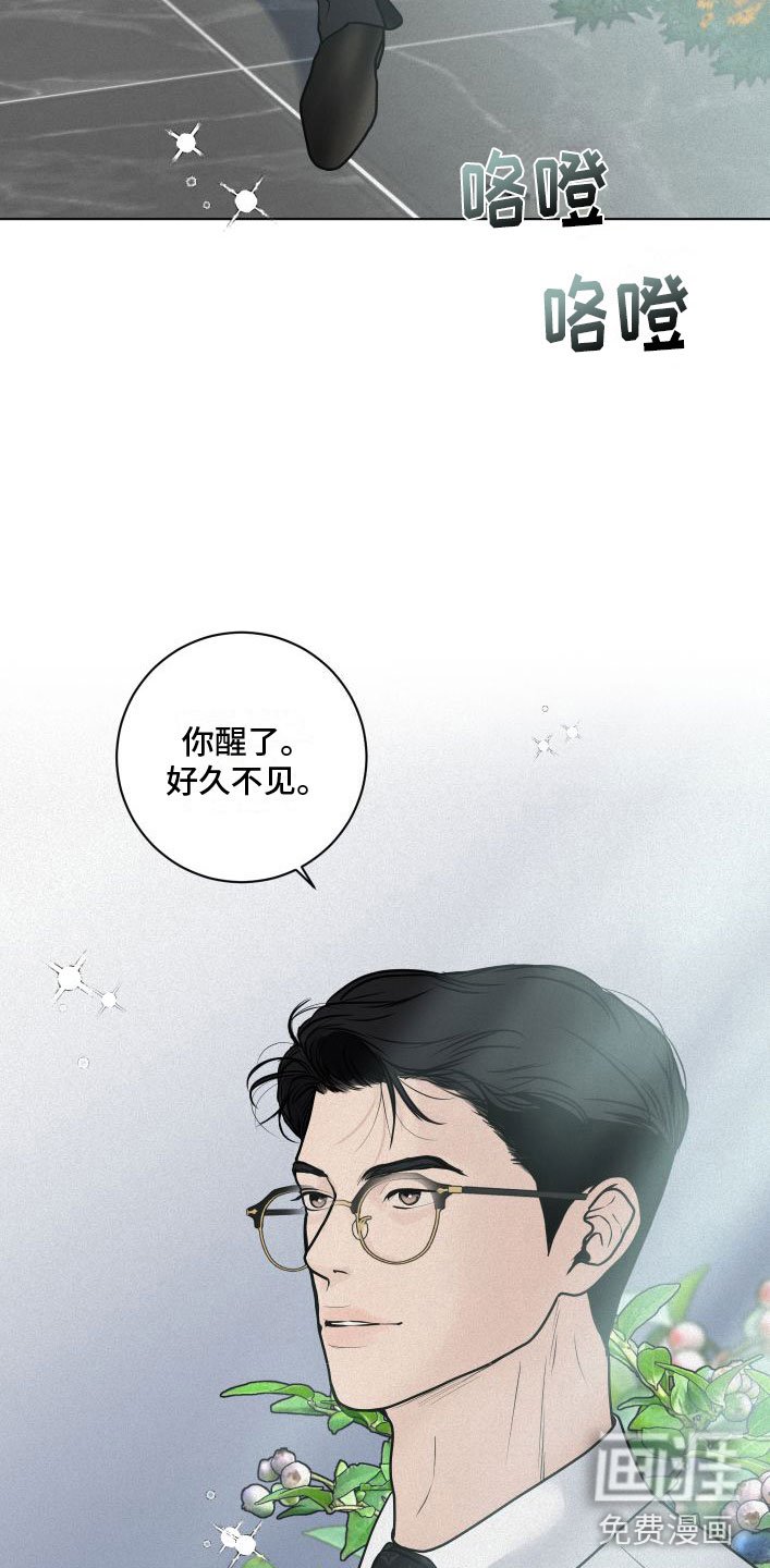 第9章：花满园
