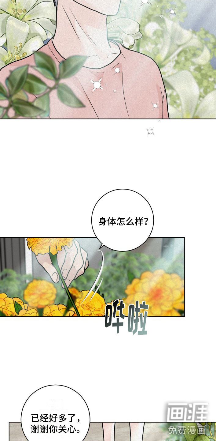 第9章：花满园