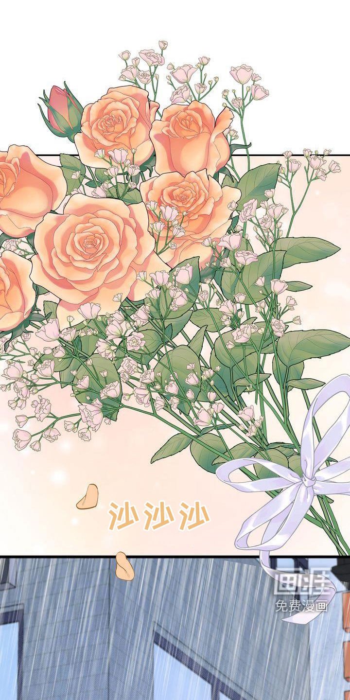 第103章：【番外】事与愿违