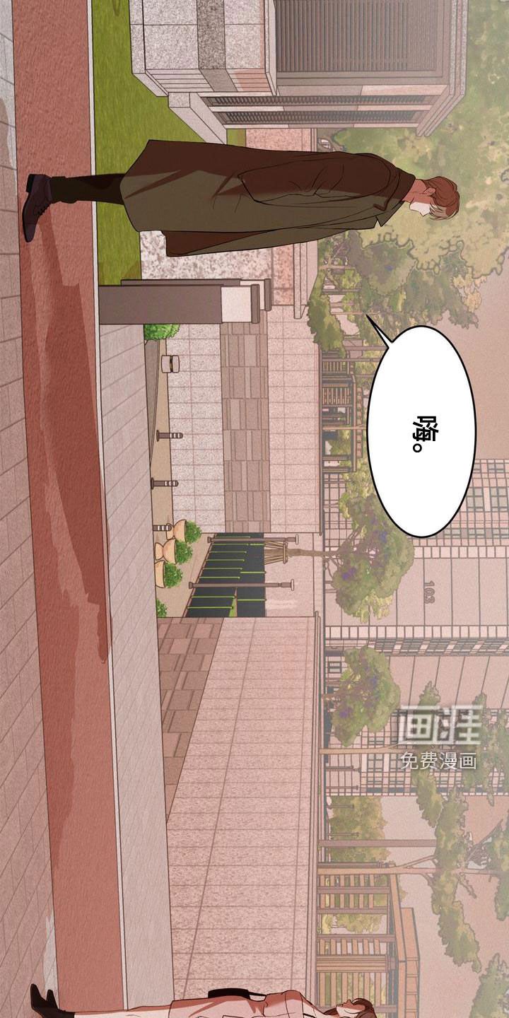 第51章：我来了