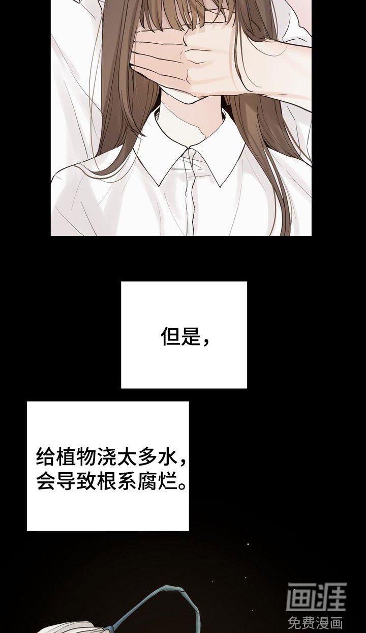 第91章：偶遇