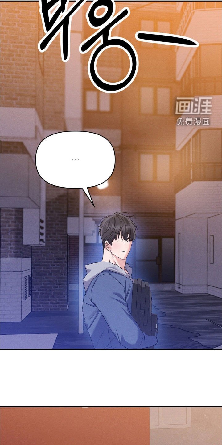 第13章：完美的计划