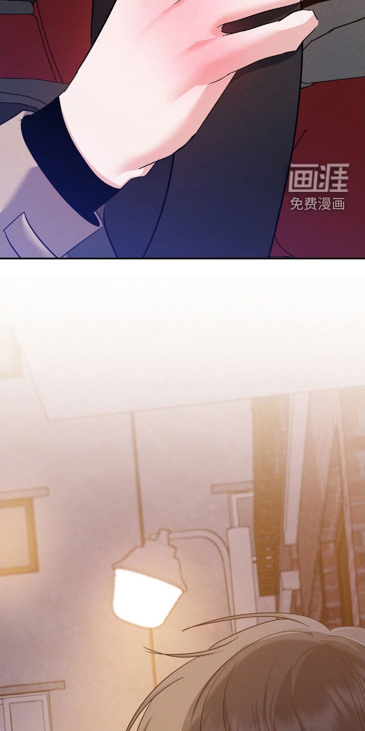 第13章：完美的计划