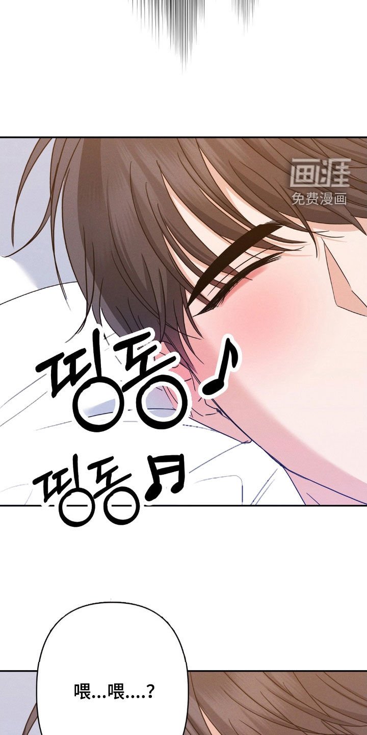 第13章：完美的计划