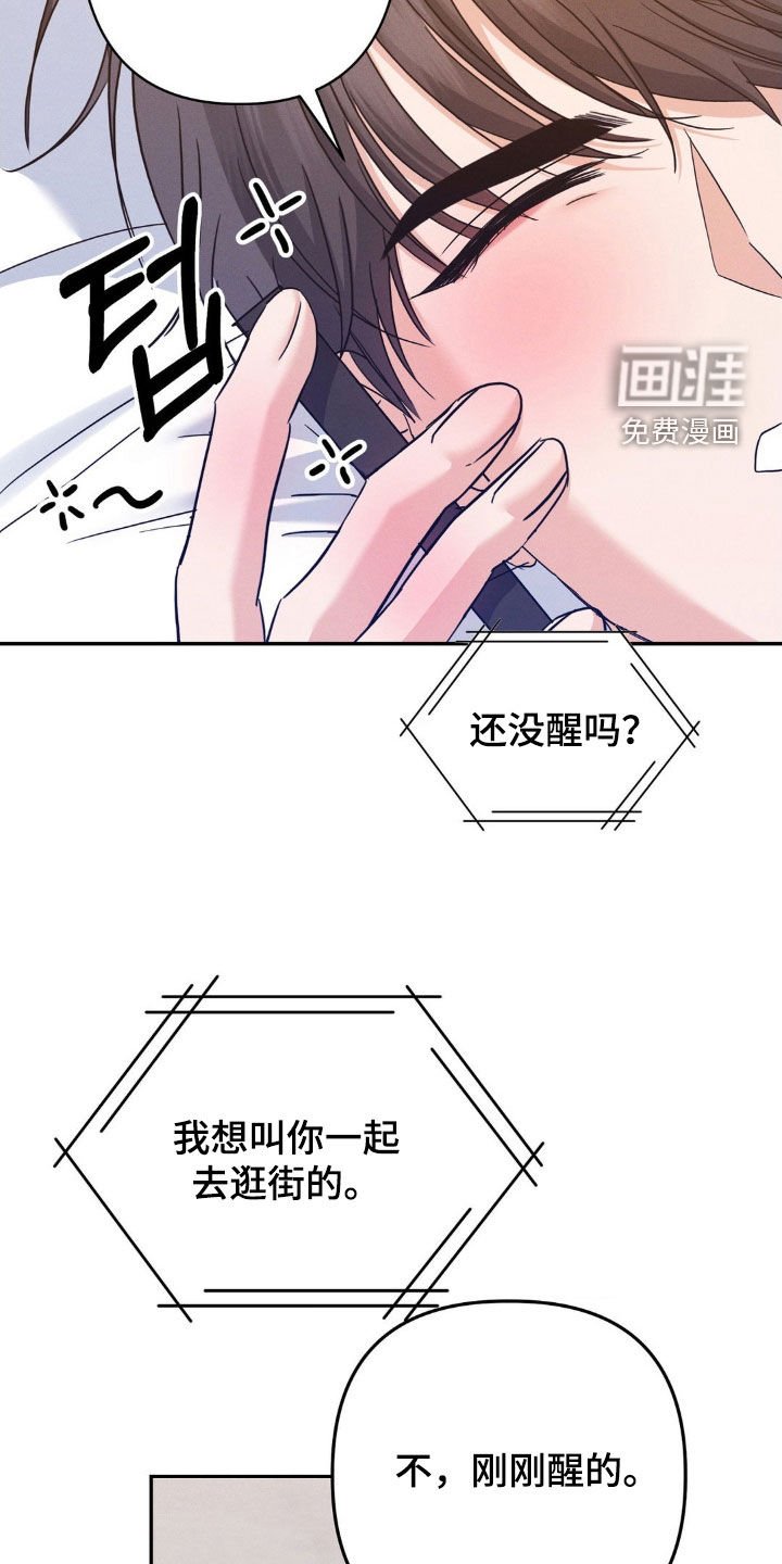 第13章：完美的计划