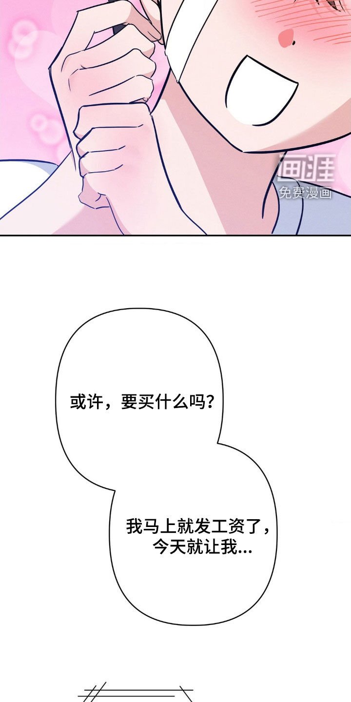 第13章：完美的计划